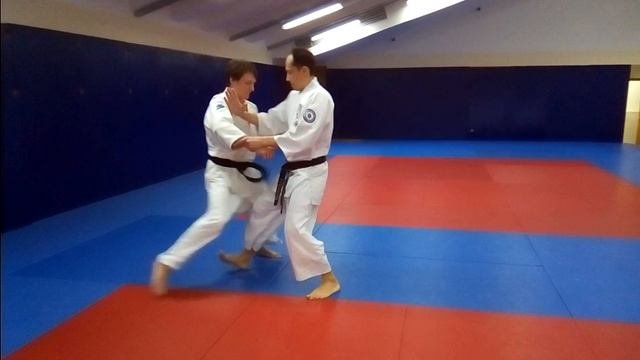 Tenkai Kote Hineri for Sports Aikido Fight