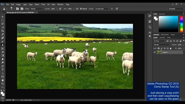 Adobe Photoshop CC 2015 Clone Stamp Tool Tutorial