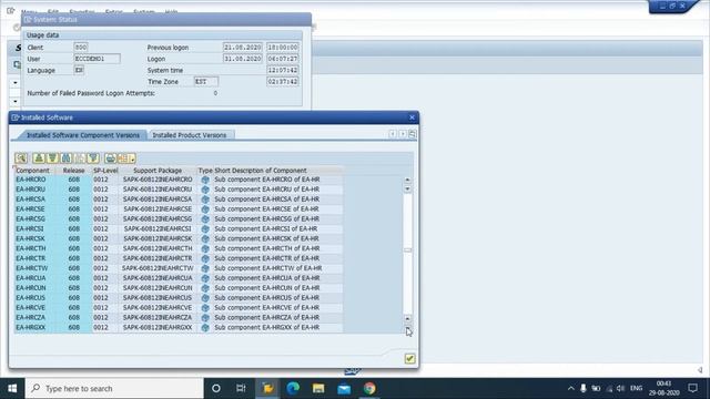 How to connect SAP ECC Server