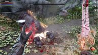"The Biggest Reason Why Everyone Afraid Of Serana ......"