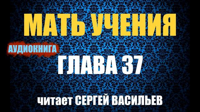 Мать учения Гл.37 - Размеренным шагом (аудиокнига Васильев С.)
