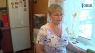 Моя деревня. Крестьянский корень Пересыпкиных