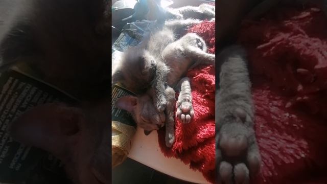 солнечные ванны