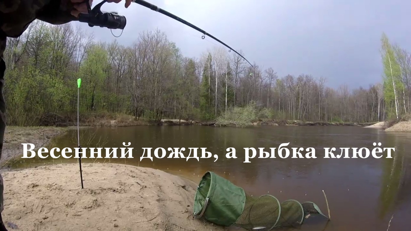 Весенний дождь, а рыбка клюёт