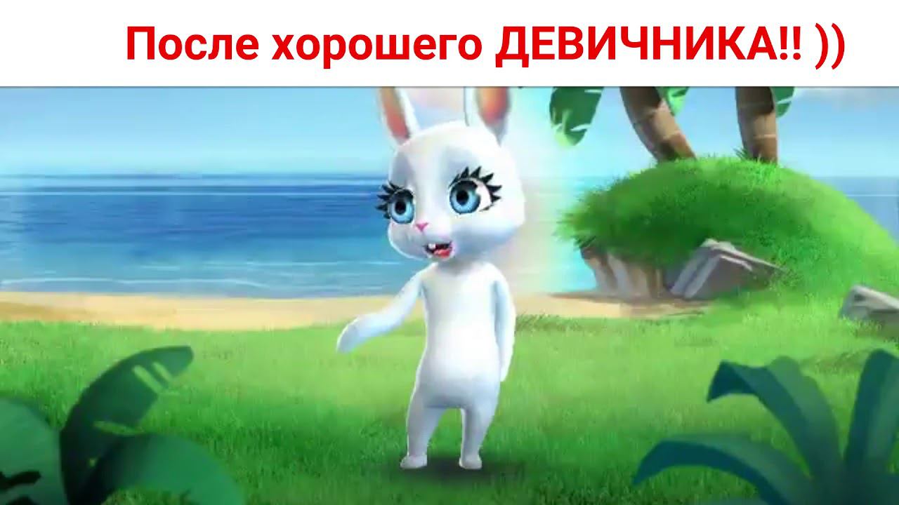 После хорошего ДЕВИЧНИКА...!! )) Юмор и шутки от Зайки Zoobe.