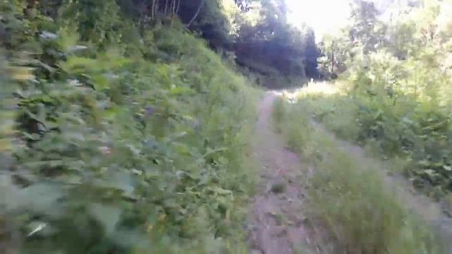 MTB Tremalzo: da malga Giù a Pieve di Ledro