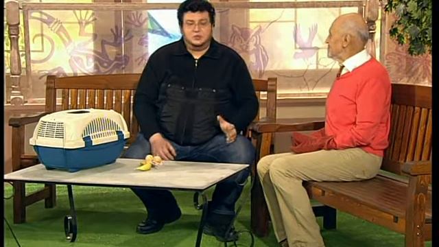 в мире животных крыланы