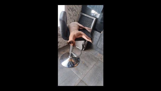 ахаха ахах :3