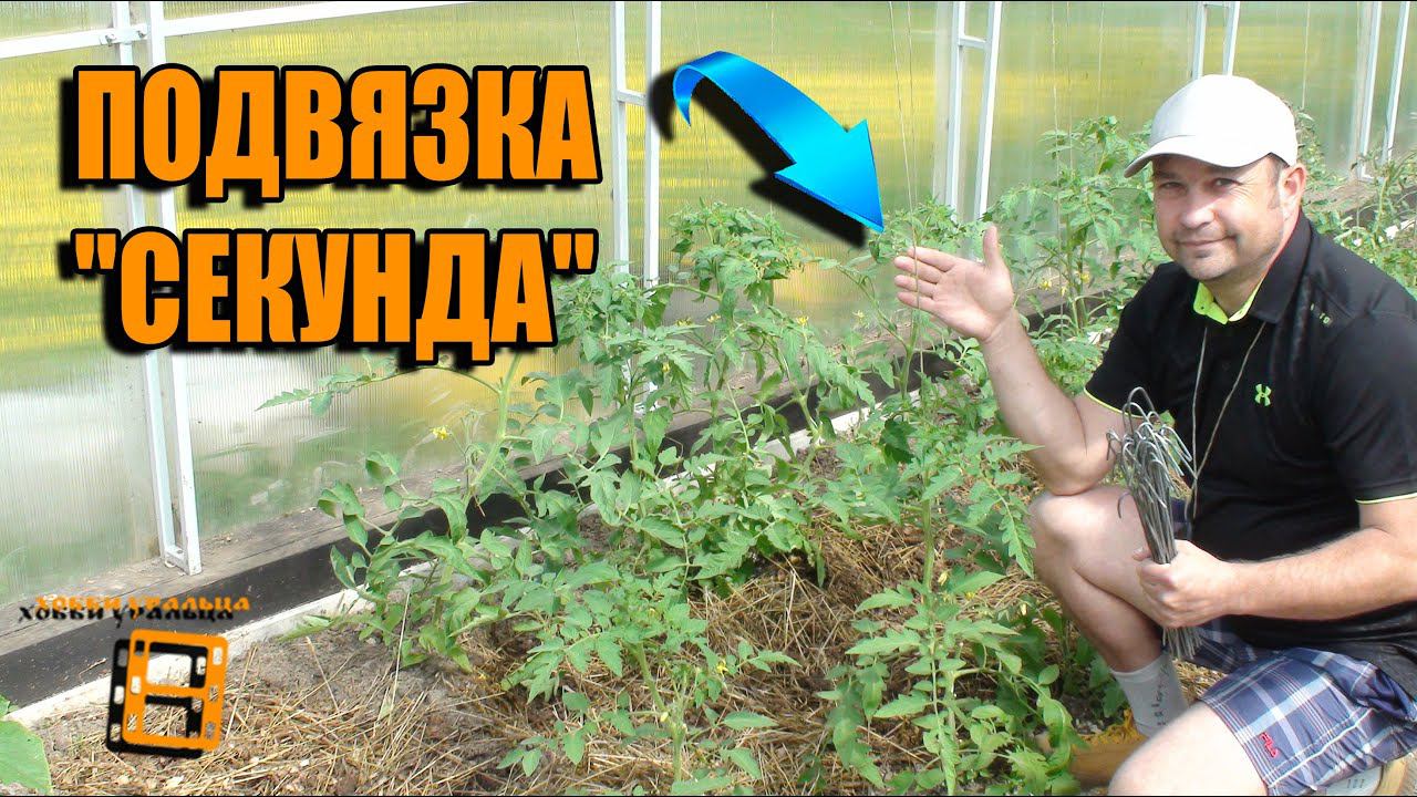 ПРОСТЕЙШАЯ ПОДВЯЗКА ДЛЯ ПОМИДОРОВ И ЛУЧШАЯ ПОДВЯЗКА ДЛЯ ОГУРЦОВ. САД (ОГОРОД) И ТЕПЛИЦА