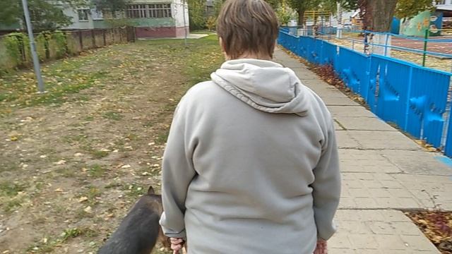 Аргай