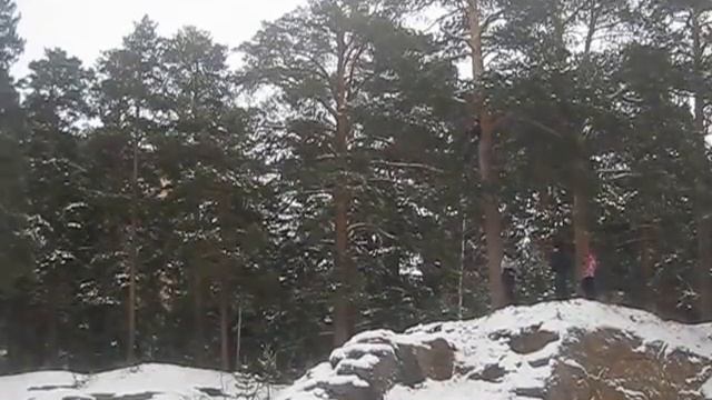 Челябинск. Троллей в парке Гагарина