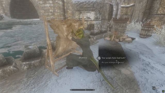 Heavy Metal Lizard - Skyrim - Requiem - DiD - Episode 2