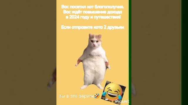 вы в это верите