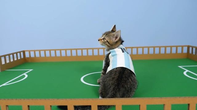 Messi or Ronaldo? ? Suuuuui!