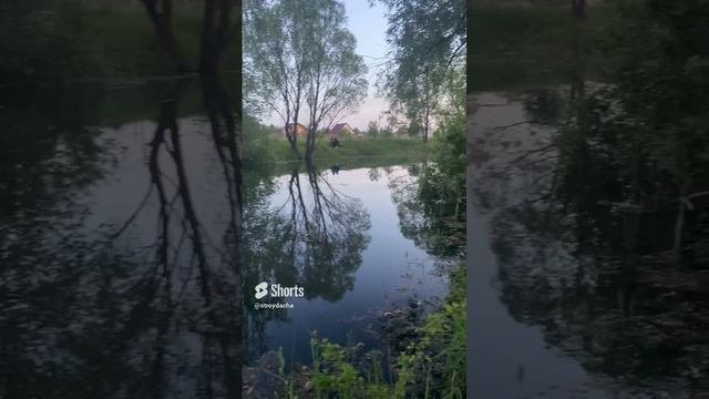 Когда отдыхаешь от ремонта в доме. #каркасныйдом #рыбалка