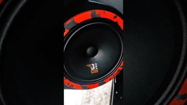 DL AUDIO GRYPHON PRO 165neo