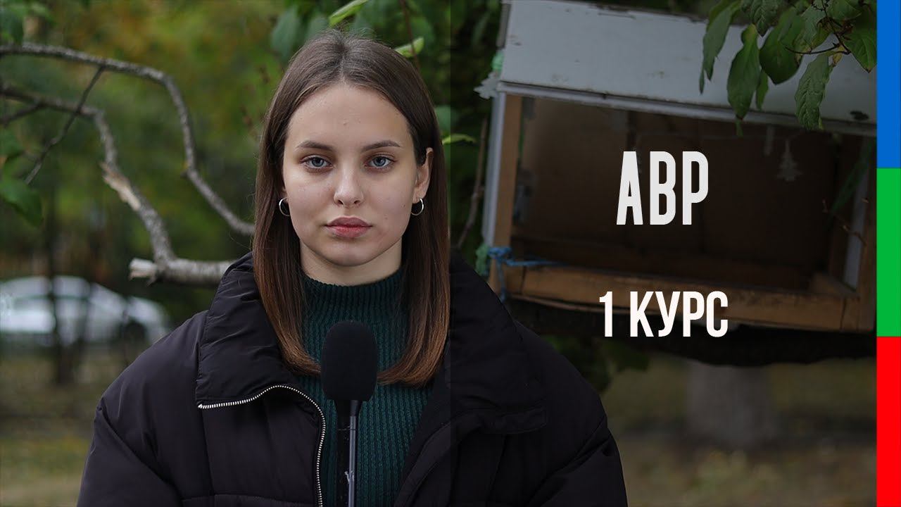 ДО11 Мшецян Стендап Эко-акция