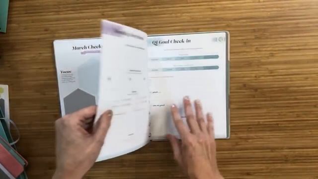2019 LIVE Walkthrough: inkWELL Press liveWELL Planners