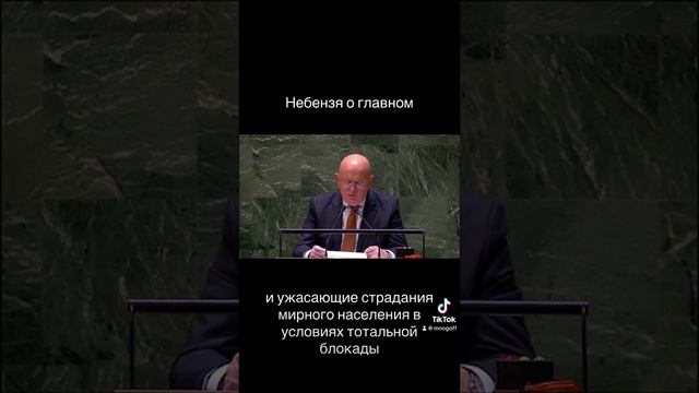 Небензя в ООН о главном