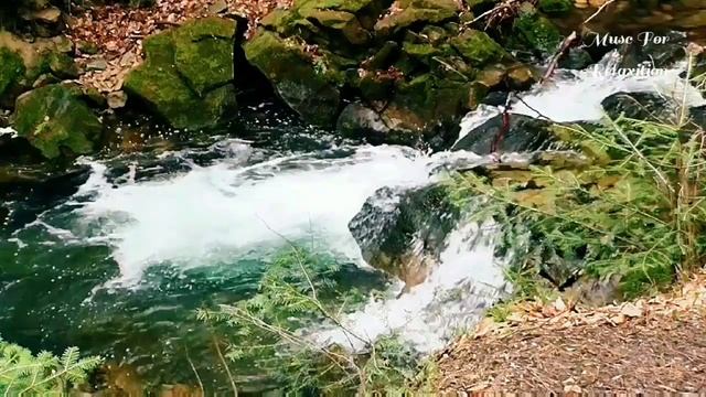 Romantic music to the sounds of a stream and a waterfall.
