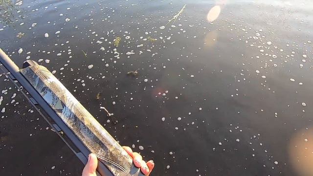 Duck Hunting - 20 ga. Duck Hunt in A BRUTAL Marsh