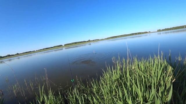 РЫБАЛКА на рассвете на ПОПЛАВОК...Клев карася на удочку!