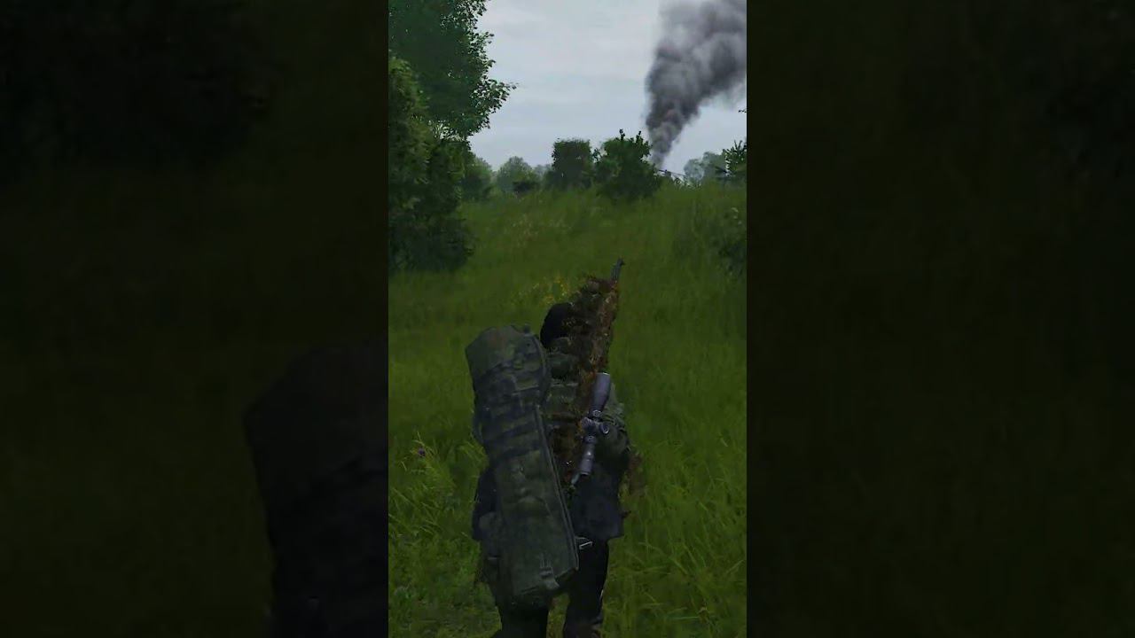 Зомби могут летать - DayZ #shorts #dayz #dayzstandalone #дейз #dayzgameplay