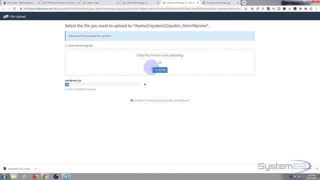 Wordpress Manual Install To Hosting ?
