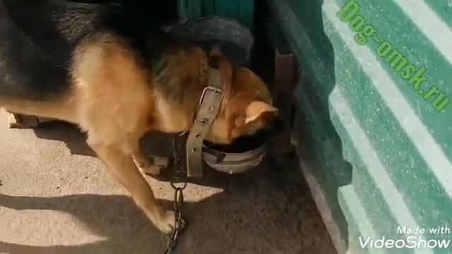 Мы вынуждены кричать о помощи