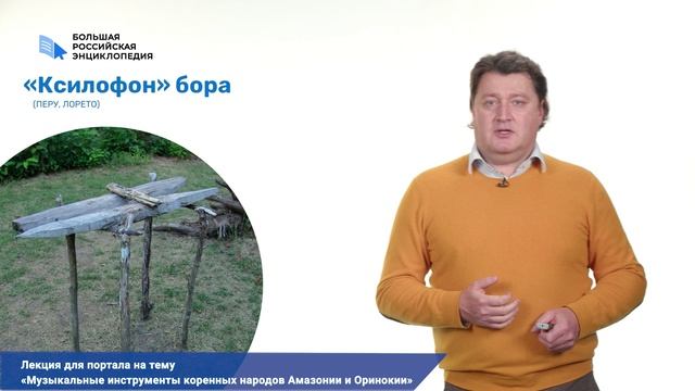 Музыкальные инструменты коренных народов Амазонии и Оринокии