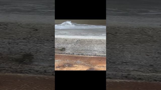 VID-20220728-WA0008.mp4