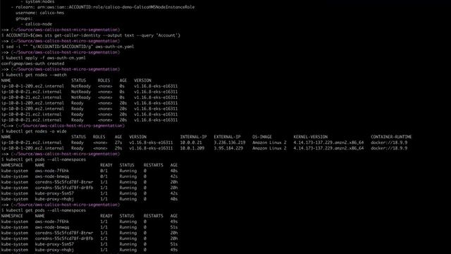 Up and running with Calico Host Micro-segmentation on AWS