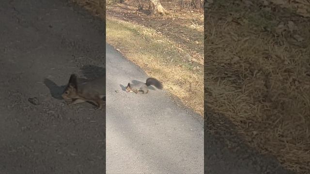 lv_0_20221031200342.mp4