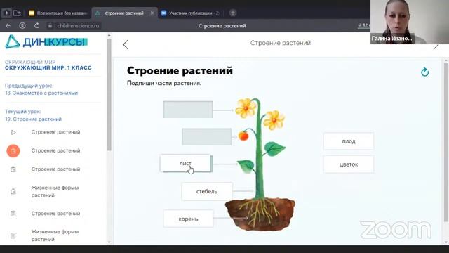 Открытое альтернативное занятие "Окружающий мир" у детей 5-7 лет (дошкольное звено)