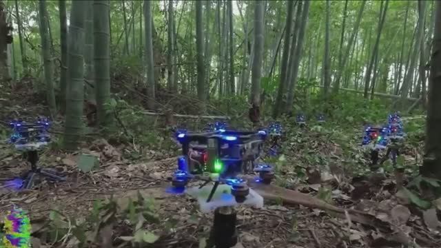 Группа китайских дронов камикадзе прочесывают густой бамбуковый лес.