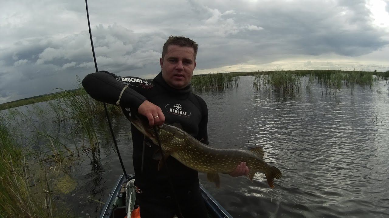 ПОДВОДНАЯ ОХОТА 2016 СЛУЧАЙНЫЙ ТРОФЕЙ ЩУКА 5.5 КГ SPEARFISHING 2016 TROPHY PIKE