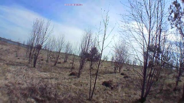 Охота на гуся весной 2016г.