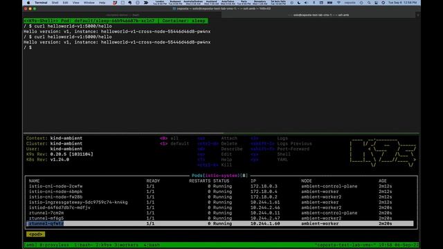 Istio Ambient Mesh Launch Demo