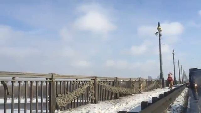 Забавное видео с моста Патона, Олень Рудольф показал как объезжать пробки