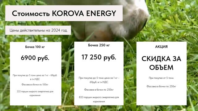 Энергетик для коров Korova Energy описание и состав