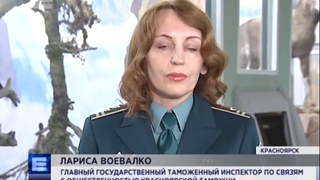 Таможня подарила краеведческому музею конфискованное чучело редкого крокодила