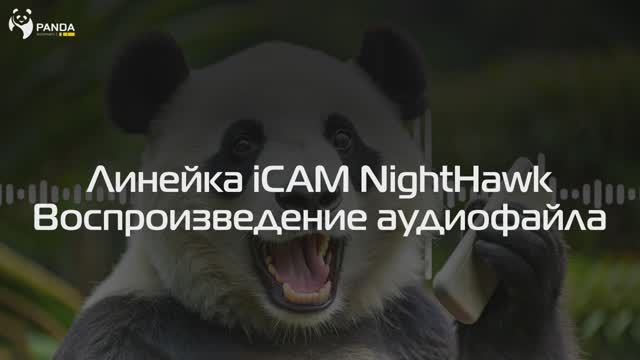 Настраиваем воспроизведение своего аудиофайла через динамик IP-камер серии Night Hawk