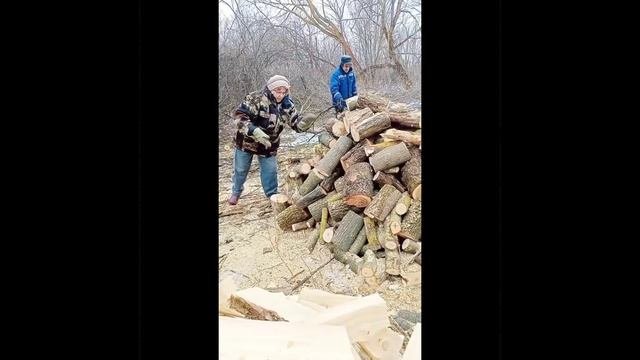 InShot_20230307_115416829.mp4