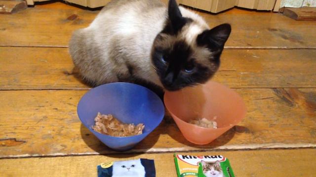 Gourmet vs Kitekat