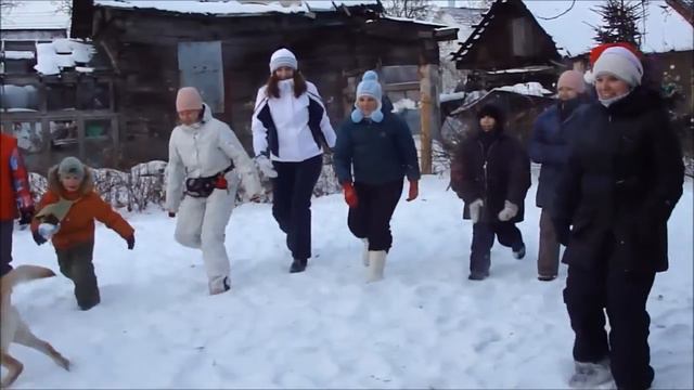Востряково ретривер тусовка 22.12.12 