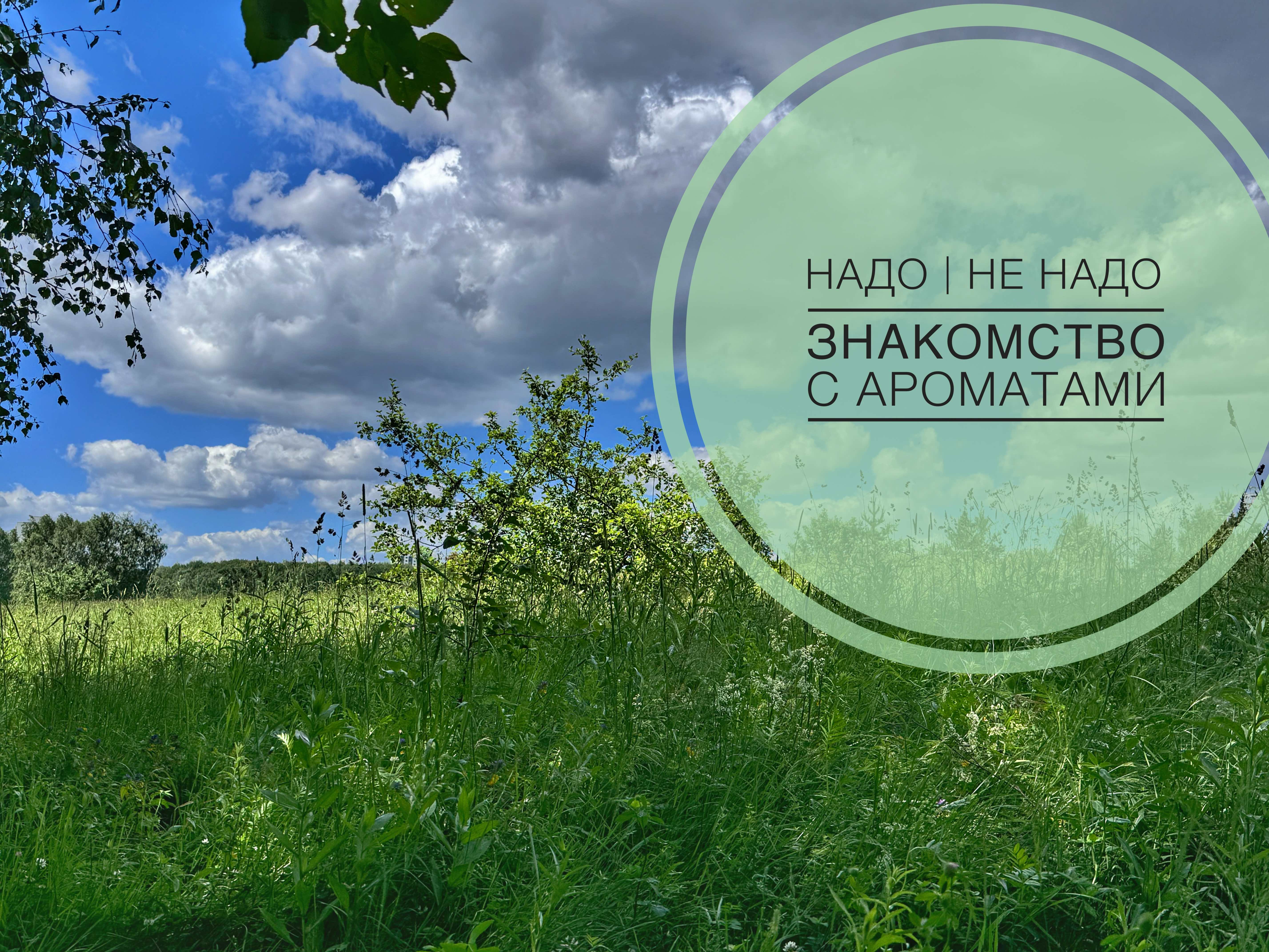 НАДО | НЕ НАДО | ЗНАКОМСТВО с новыми ароматами