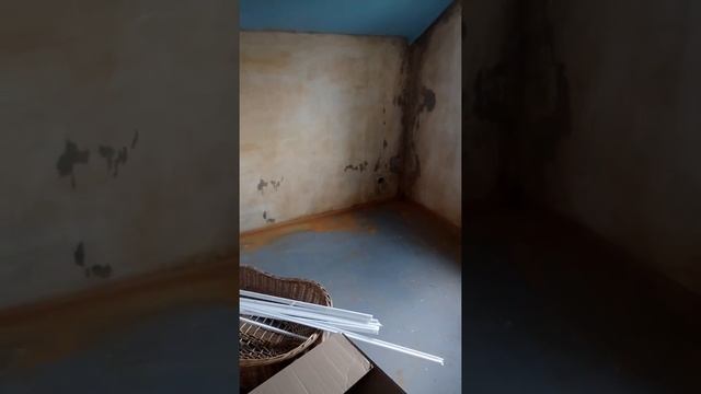 Как избавиться от грибка в частном доме.