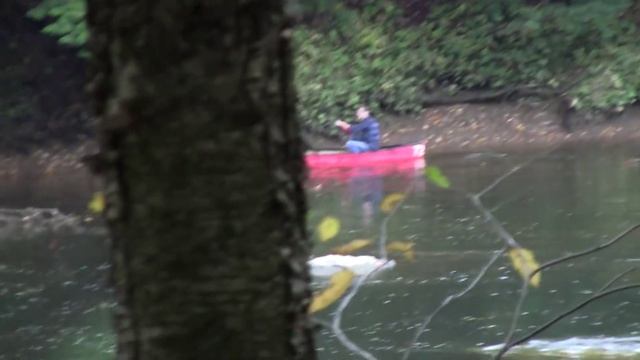 The berkley gulp minnow/Why It's awesome
