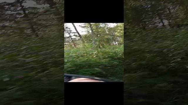 13.09.2023г. таëжная пасека, красотища! 😁👍