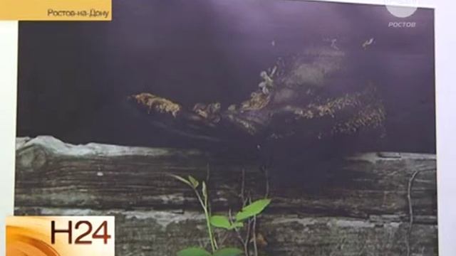 Полёты во сне и наяву